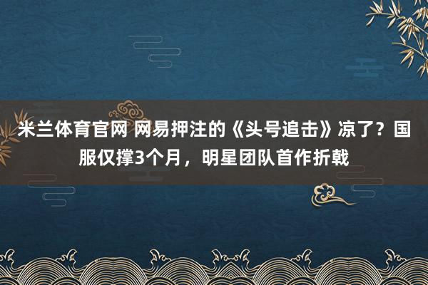 米兰体育官网 网易押注的《头号追击》凉了？国服仅撑3个月，明星团队首作折戟
