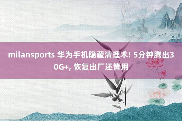 milansports 华为手机隐藏清理术! 5分钟腾出30G+, 恢复出厂还管用