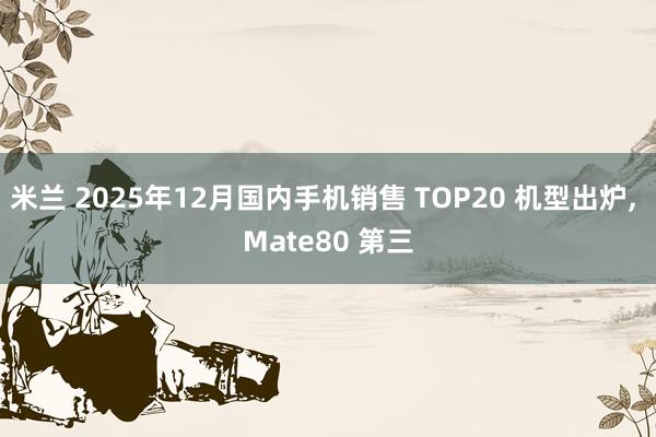 米兰 2025年12月国内手机销售 TOP20 机型出炉, Mate80 第三