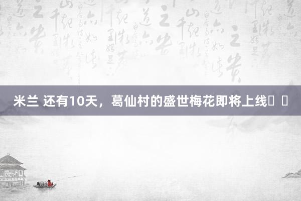米兰 还有10天，葛仙村的盛世梅花即将上线❗️