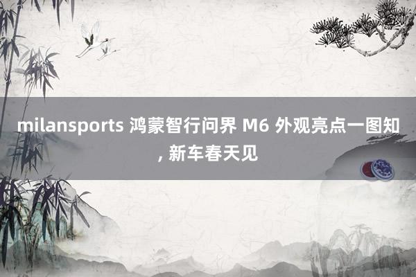 milansports 鸿蒙智行问界 M6 外观亮点一图知， 新车春天见