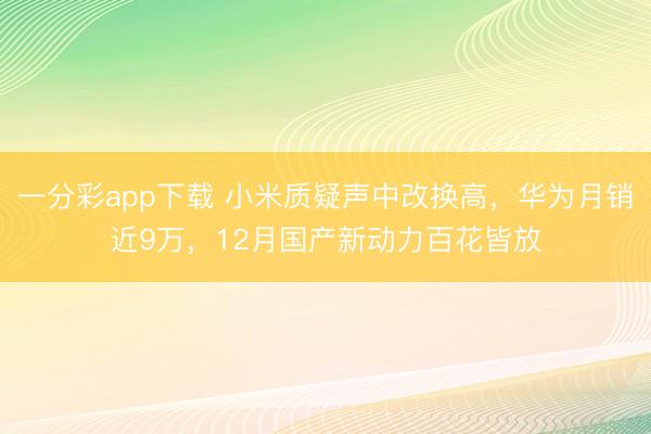 一分彩app下载 小米质疑声中改换高，华为月销近9万，12月国产新动力百花皆放
